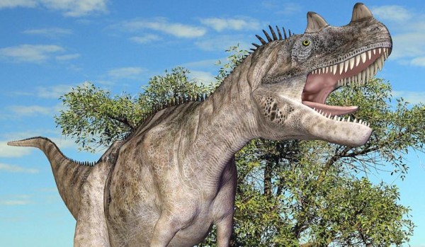Czy potrafisz rozpoznać 50 gatunków dinozaurów?
