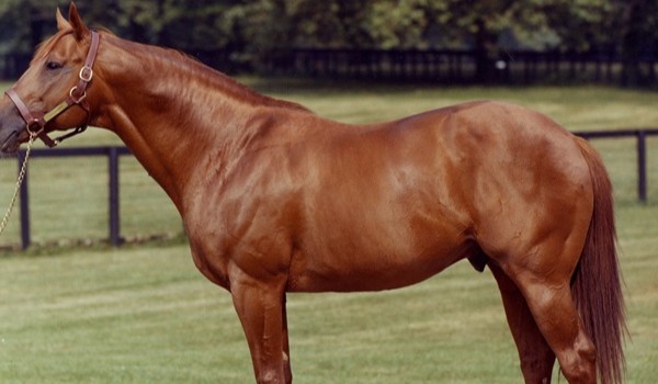 Inazuma Eleven-Finały