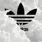 AmciaAmela