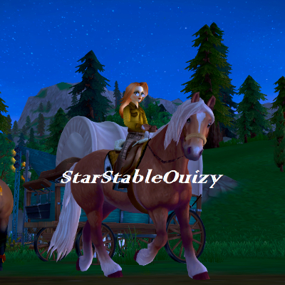 StarStableOuizy