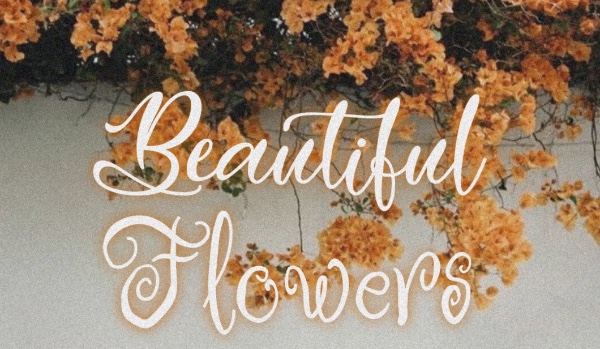 beautiful flowers • ocena