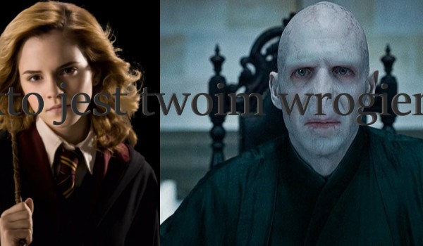 Kto z filmu ,,Harry Potter” będzie twoim odwiecznym wrogiem a kto przyjacielem .