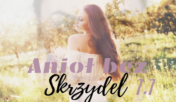 Anioł bez skrzydeł 1.1