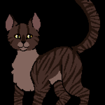 KwiecistaGwiazda
