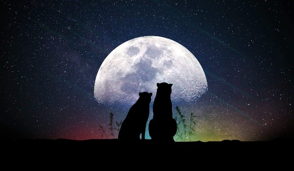 Niewielka różnica #3