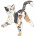 Amber_Tail