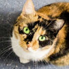 .Blyszczaca.Gwiazda.