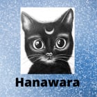 Hanawara