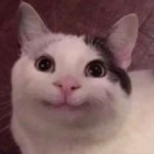 Pani_pleps