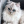 Cats_forever