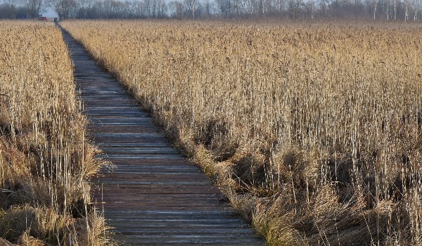 Podsumowanie zbiórki