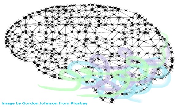 Test na koncentrację