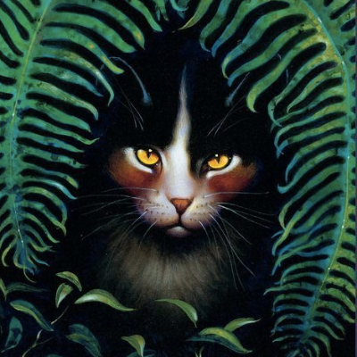LoveWarriorCats