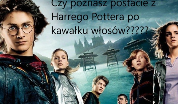 Czy poznasz postacie z Harrego Pottera, po kawałku włosów???