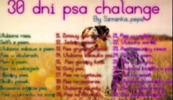 30 Dni psa chelenge- dzień 3