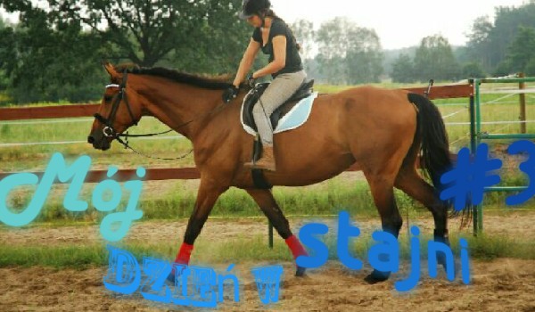 Mój dzień w stajni #3