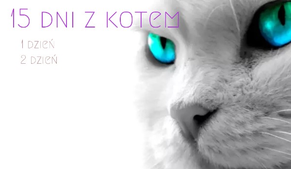 Spędź 15 dni z kotem