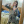 Matylda_Wadas
