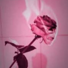 _alicja.sprycha