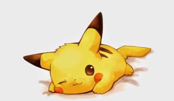 Test wiedzy o CHOMIKACH