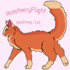 RaspberryFlight