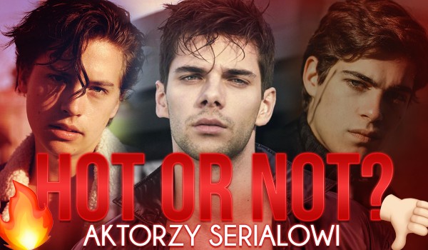 Hot or not? – Serialowi aktorzy!