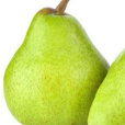GruzkiSomKul
