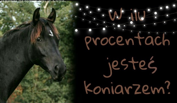 W ilu procentach jesteś koniarzem?