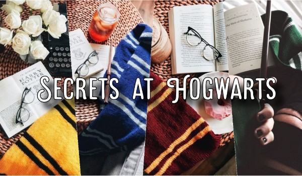 Secrets at Hogwarts – opowiadanie z obserwatorami – przedstawienie postaci