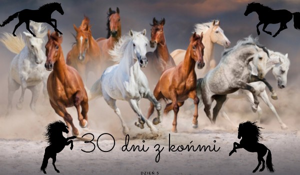 30 dni z końmi! Dzień 5