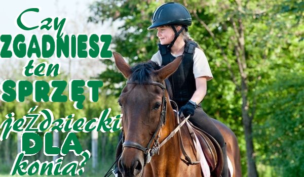 Czy zgadniesz ten sprzęt jeździecki dla konia?