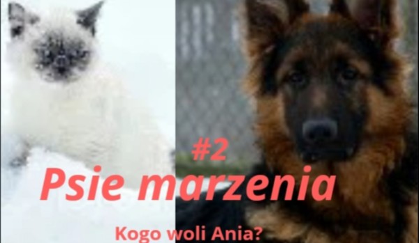 Psie marzenia #2 -Kogo woli Ania? Sezon 1