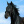 Emilia-horses.