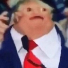 MemeDonald
