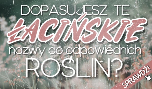 Dopasujesz te łacińskie nazwy do odpowiednich roślin?