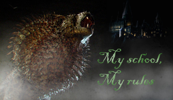 My school, My rules #6