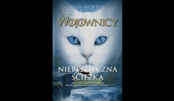 Wojownicy „Niebezpieczna ścieżka”