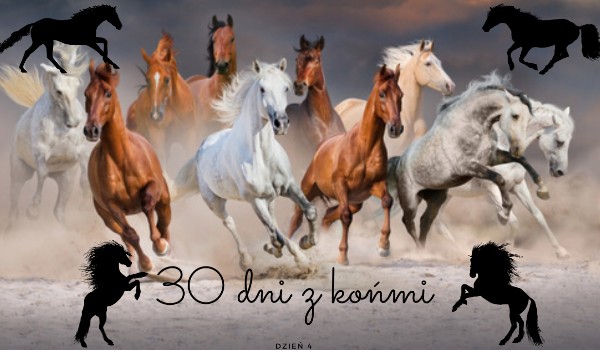 30 dni z końmi! Dzień 4