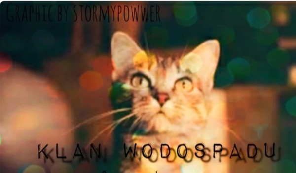 Zmierzenie się z przeszłością. #11