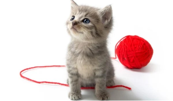 Oceniam Profil @Panda12