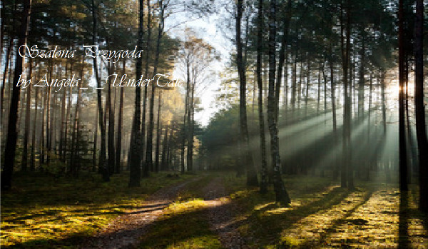 Szalona Przygoda- Utss x Reader #1