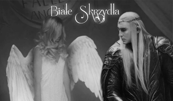 Białe Skrzydła #2