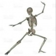 siemafrysjestem