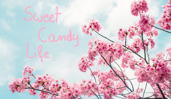 Sweet Candy Life
