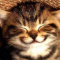 Happy_World