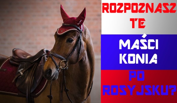 Rozpoznasz te maści konia po rosyjsku?