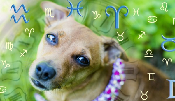 Horoskop dla psiarzy