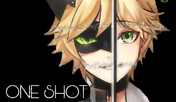 Chat Nior – One Shot