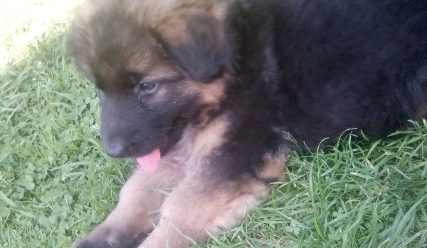 Oceniam profil @MajaPotter101