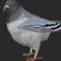pajonktenprawdziwy